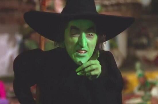 Stonecutter2's tweet image. @MDanner16 Perhaps u could fall in love with this lovely individual #looksliketswift #samepersonality