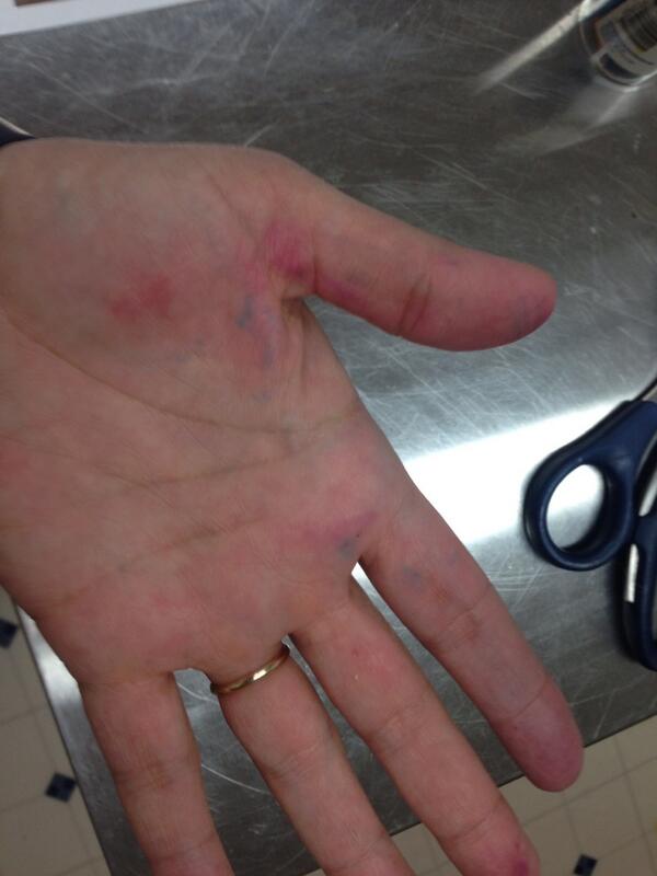 terri_steiert's tweet image. The cake decorator's hands. #telltalesigns #cakedecorator #gloriousgoodies