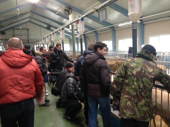 Embedded image permalink