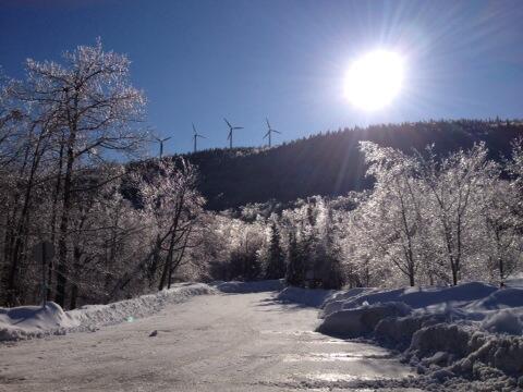 There will be many pretty pictures today