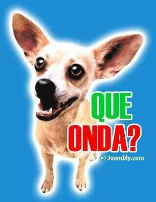 wonderboy's tweet photo. @lupisss04 http://t.co/CSJ38JQilH