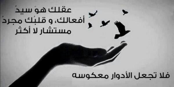 حسنين عادل tweet media