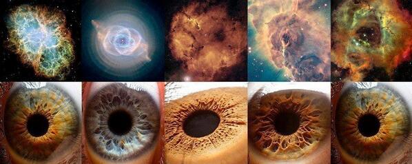 jokkobrouz's tweet image. we are the universe looking at ourselves