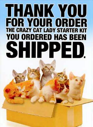 TCCLSHOW's tweet image. Expect us soon…summer 2014