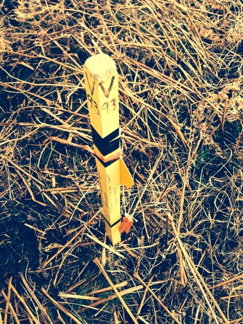 teamwebb's tweet image. Another win at the Parkrun this AM then an awesome fell run putting out #newchew controls for tomorrow this PM....