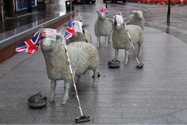 Absolutely love this... Lockerbie Sheep get in on act of congratulating our local medal winning curlers 🇬🇧 <a href="/dgcouncil/">Dumfries and Galloway Council</a>