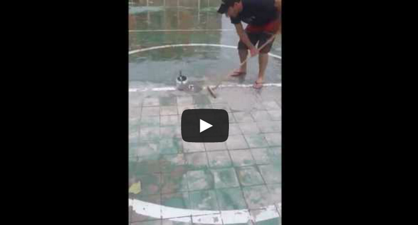 Así entrenan en Brasil para el próximo torneo de Curling

VIDEO >>