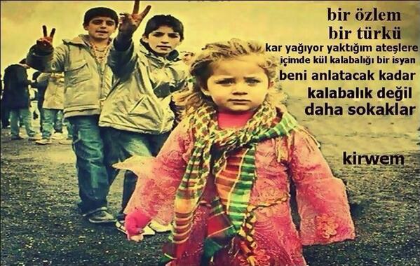 book the conscience of the