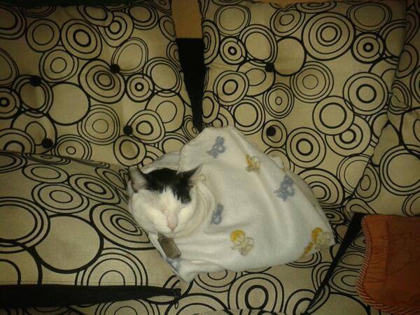 YaderCommart's tweet image. Paco en su mejor faceta momir