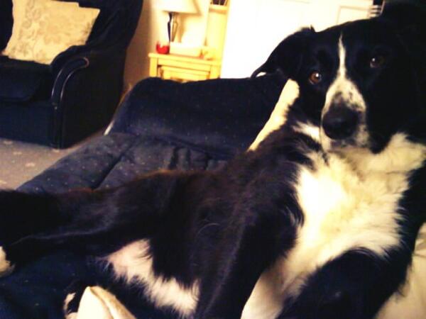 Me and Megan support <a href="/pupaid/">Pup Aid 2025</a> !!!