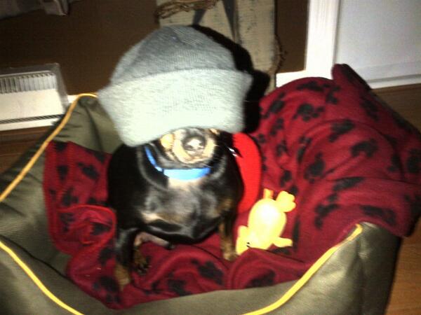 MinPinAustin's tweet photo. Hey budz http://t.co/E3HNNxdQRp