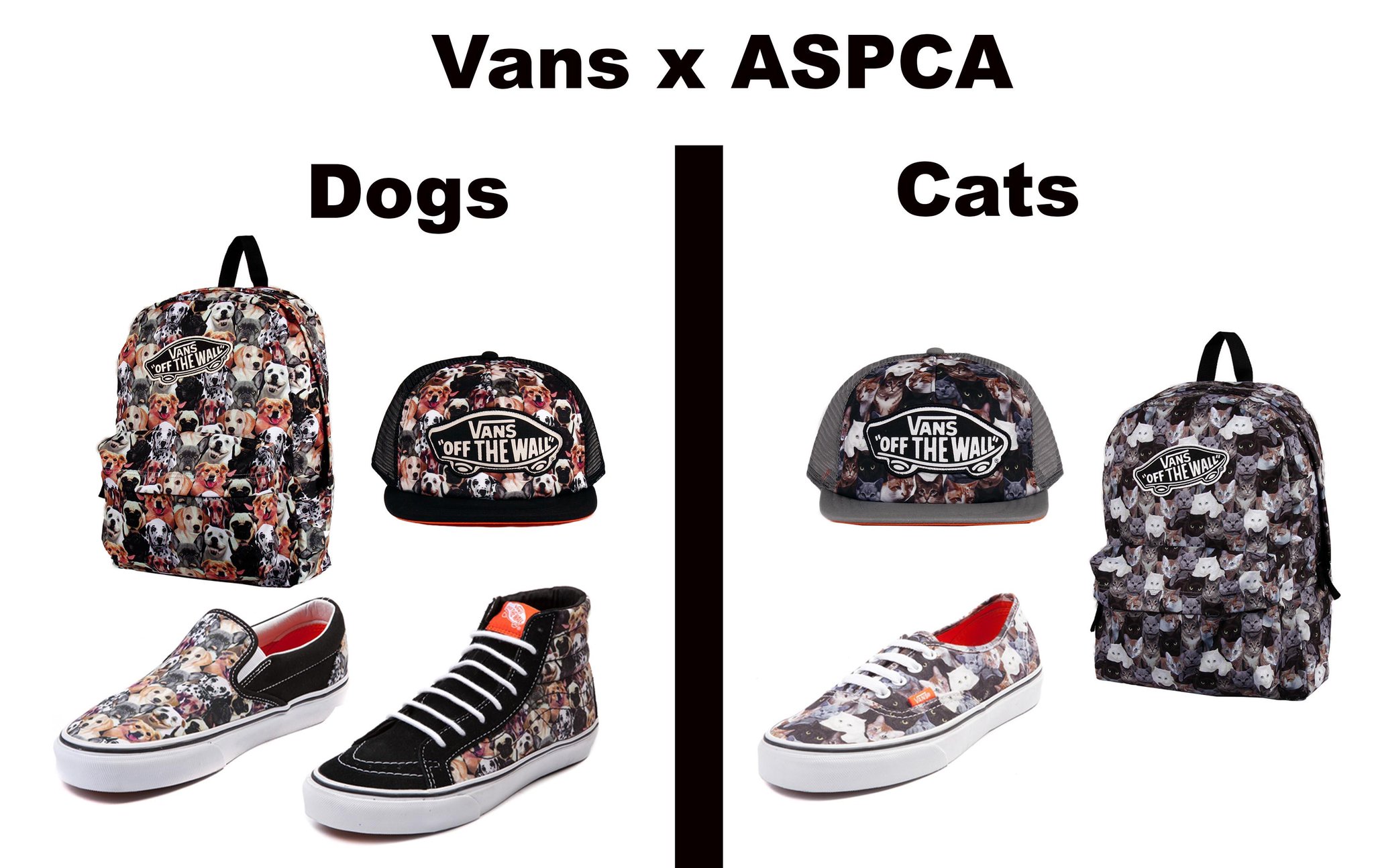 aspca vans dogs