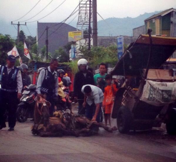e_godness's tweet photo. @ridwankamil @infobandung ..tolong pak!! dipecut, ditendang2 ma kusir walau kuda dah tak berdaya..daerah ciparay.. http://t.co/opN1v4vokZ