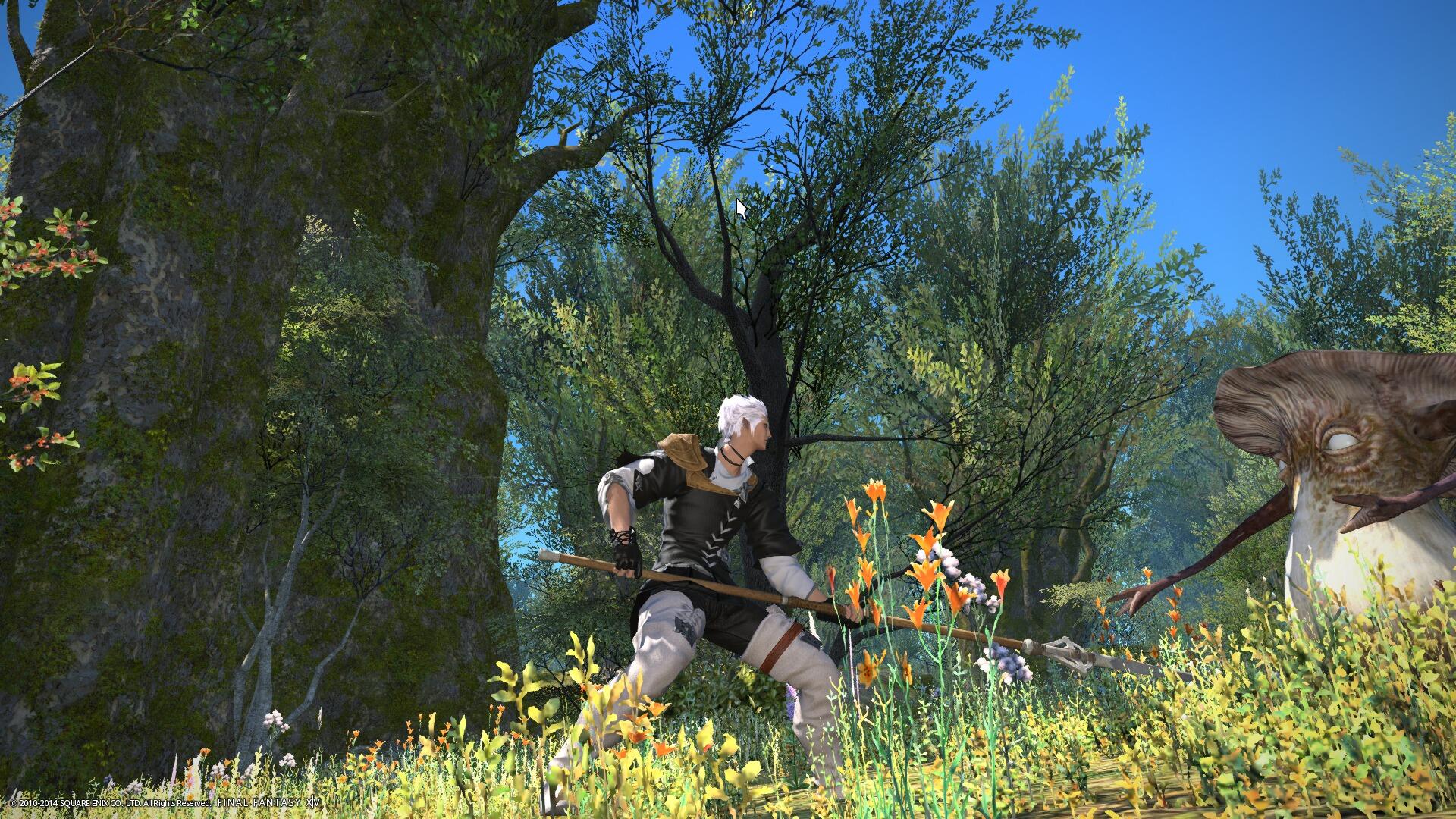 BhISp9WCcAEIqbg.jpg:orig