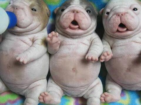 Te oulik vir woorde <a href="/Mickster_93/">Mia Schreuder</a> <a href="/Mariechen_K93/">Mariechen</a> @jeanlieb