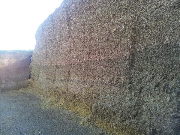 An example of 1st class clamp management. Made to look easy. Just part of it but says alot.  Cows averaging 37lts.