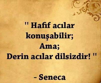 Sessiz kalıyorsa tüm söylediklerinize rağmen, söyleyeceği bir şey olmadığı için değil değmeyeceğini düşündüğü içindir