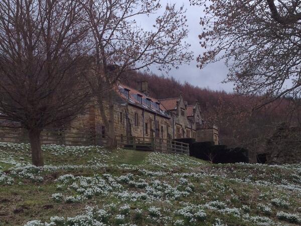 Embedded image permalink