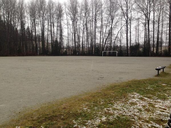 DNV Fields tweet media