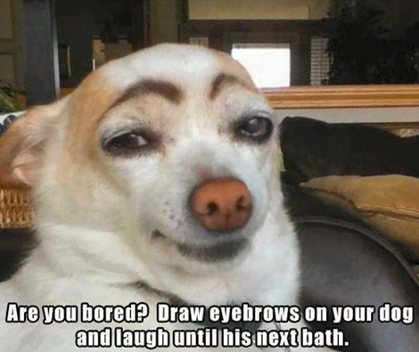 Deandra_Hudson4's tweet photo. lol http://t.co/evE7q8hf8U