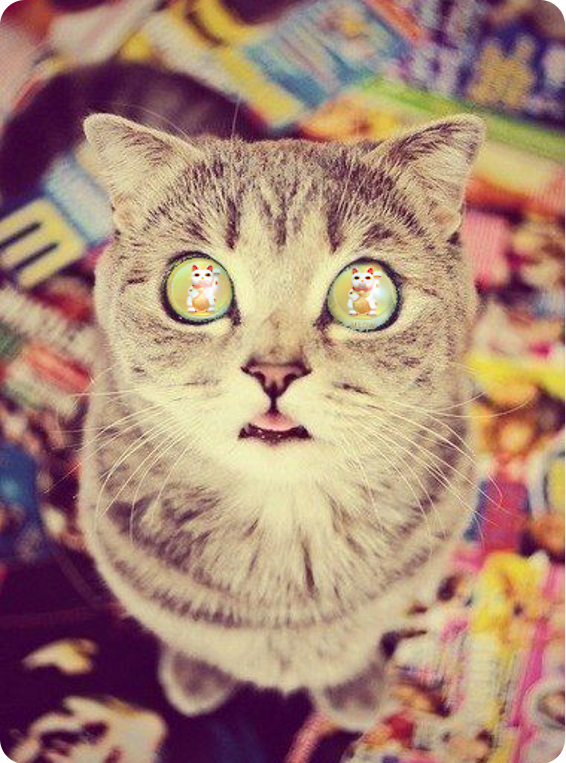 meowcoin's tweet photo. Don't panic/ Stay MEOW >^__^< @meowcoin @KittehCoin http://t.co/PN423Ujdtu