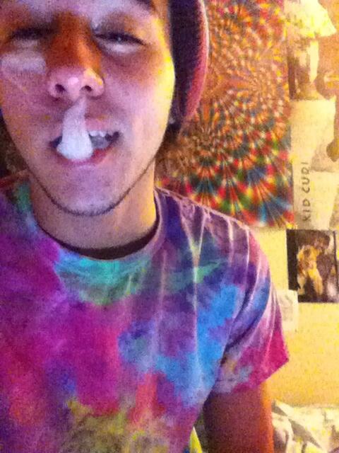 BudFact tweet picture
