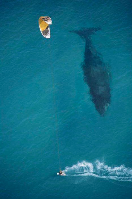 BradSavesUS's tweet photo. #wearethepeople  No Matter the Size .. GOD is the Creator of ALL and Takes care of US !†RV 2-DAY #wearethepeople ツ http://t.co/BpjhsKPT36