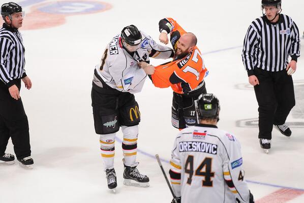 TriggerHub Sheffield Steelers tweet media
