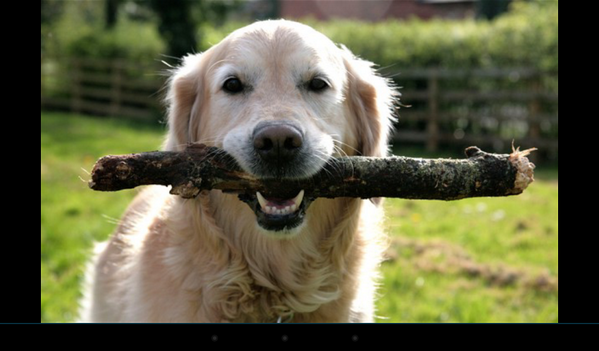 ComKitkitkat's tweet image. Mine! Mine! Mine! Mine! Mwahahah!