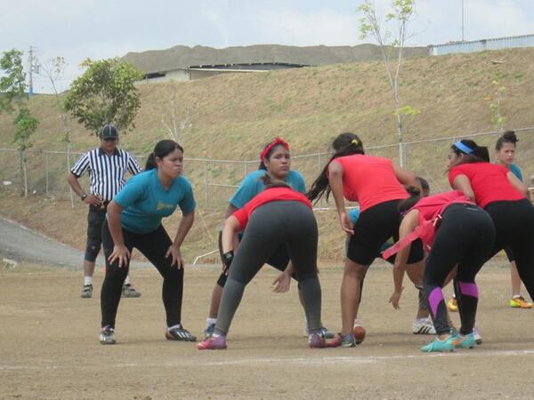 Fireflies Panama tweet media