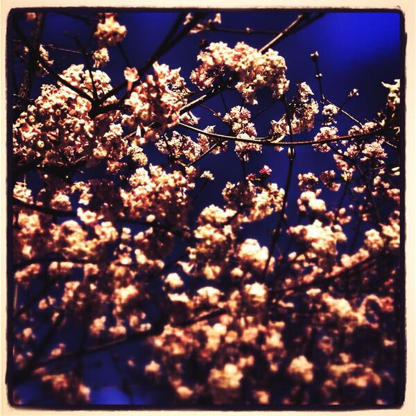 Albert Geiger tweet media