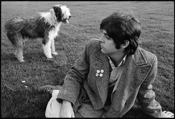 PaulMcCartney tweet picture