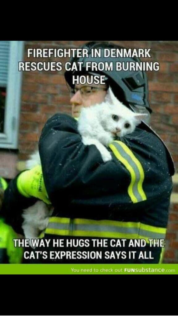 CatOverdose's tweet image. Real men hug kittens