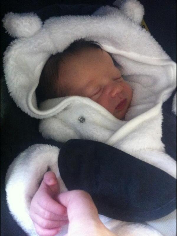 summer rose Taylor arrived