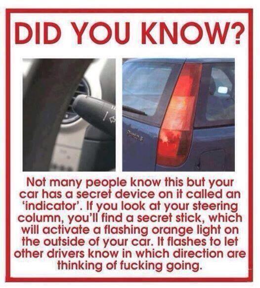 LizcoinIntern's tweet image. Did You Know?