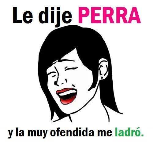frasesparperras's tweet photo. jjajajajaj se delico jajajaja http://t.co/dvMJ9plos6