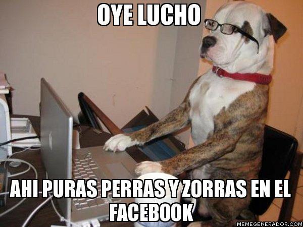 frasesparperras's tweet photo. ja ja ja oye lucho! http://t.co/frIp96WGse