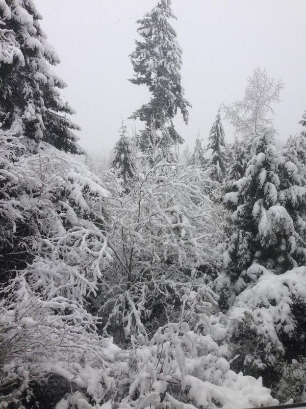 Qheffner17's tweet photo. #gorgeous #snowday http://t.co/P0cJCeRwIu