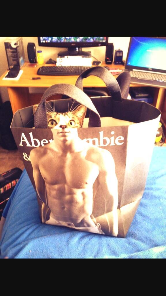 CatOverdose's tweet image. Been hitting the gym lately haven't you?