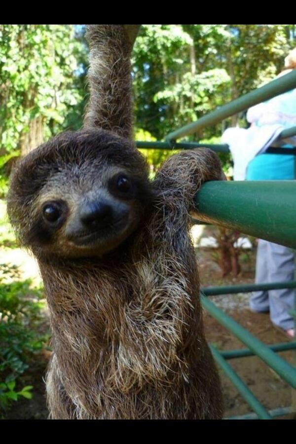 marzianomellow's tweet image. Now that is awesome