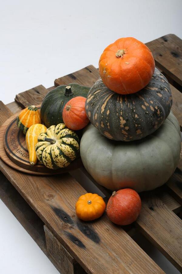 qldtaste's tweet photo. Tomorrow in the @couriermail, Taste looks at the best food-inspired festivals, with a Goomeri pumpkin inspired cover! http://t.co/VSHjVUAveH