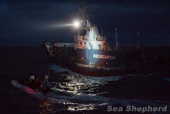 Sea Shepherd Germany tweet media