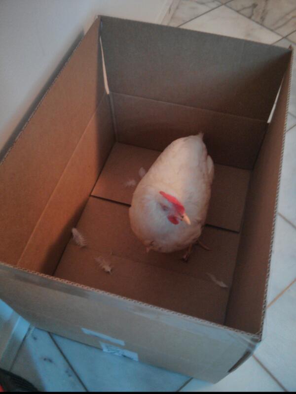 MadByte Games tweet media