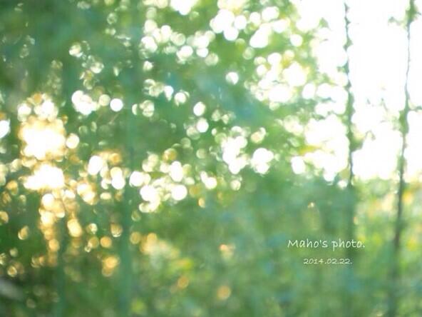 47_choco's tweet image. みどりから漏れるひかり。

#写真好きな人と繋がりたい 
#ファインダー越しの私の世界 
#私の世界観好きって言ってくれる方宜しければRT 
#緑
#ちょっとでもいいと思ったらRT