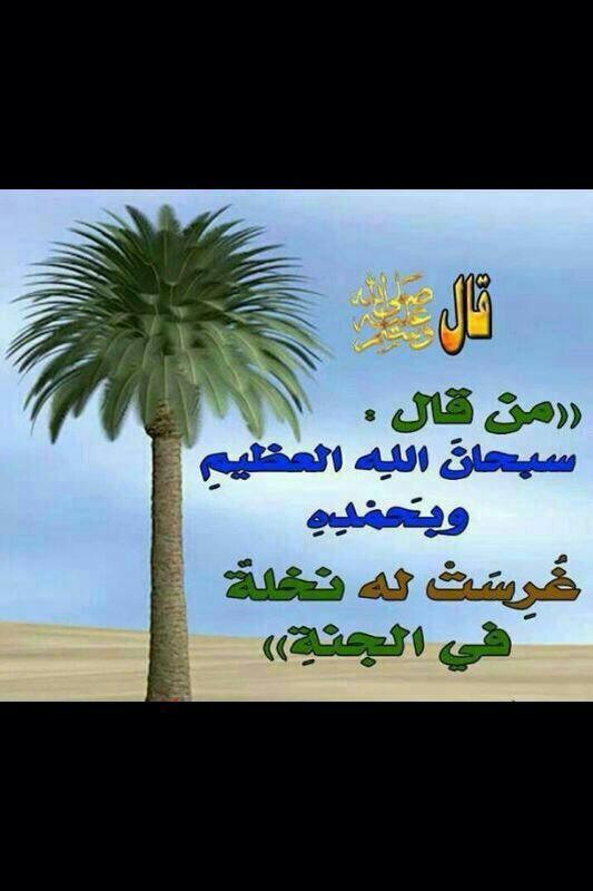 aboraed1990 tweet picture