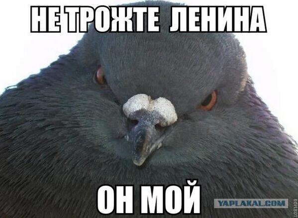 dominator_ox's tweet photo. @rostislavslepen Про памятник http://t.co/DvbkqPhAlE