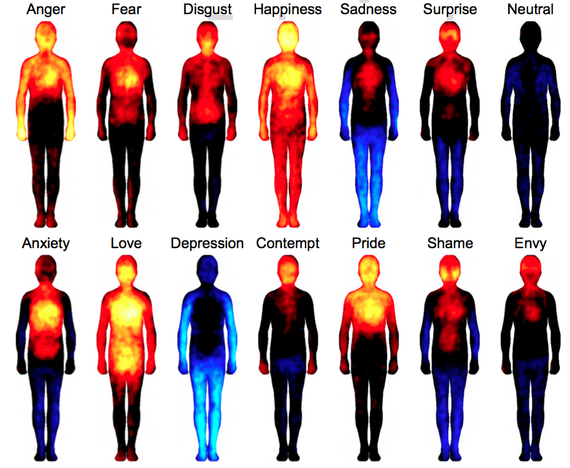 Samsamum's tweet image. How do different emotions affect our body temperature. #Infographic