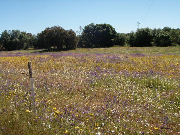 CasaRuralP's tweet photo. La lluvia siempre es bienvenida si nos deja colores como este en la sierra! Te apetece un fin de semana diferente? :) http://t.co/rOssvLszFz