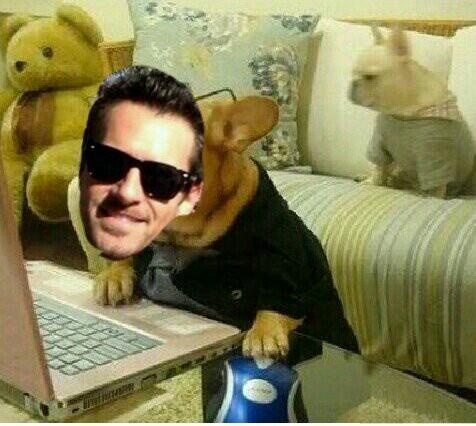 ianbohencult's tweet image. @ianbohen this is u googling how to get bitches