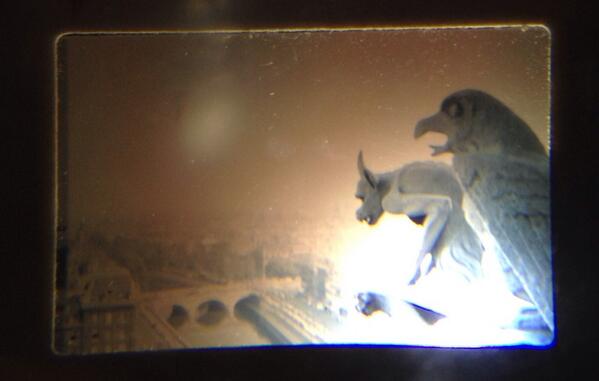 SHEENA(band) (@sheenaband) on Twitter photo 